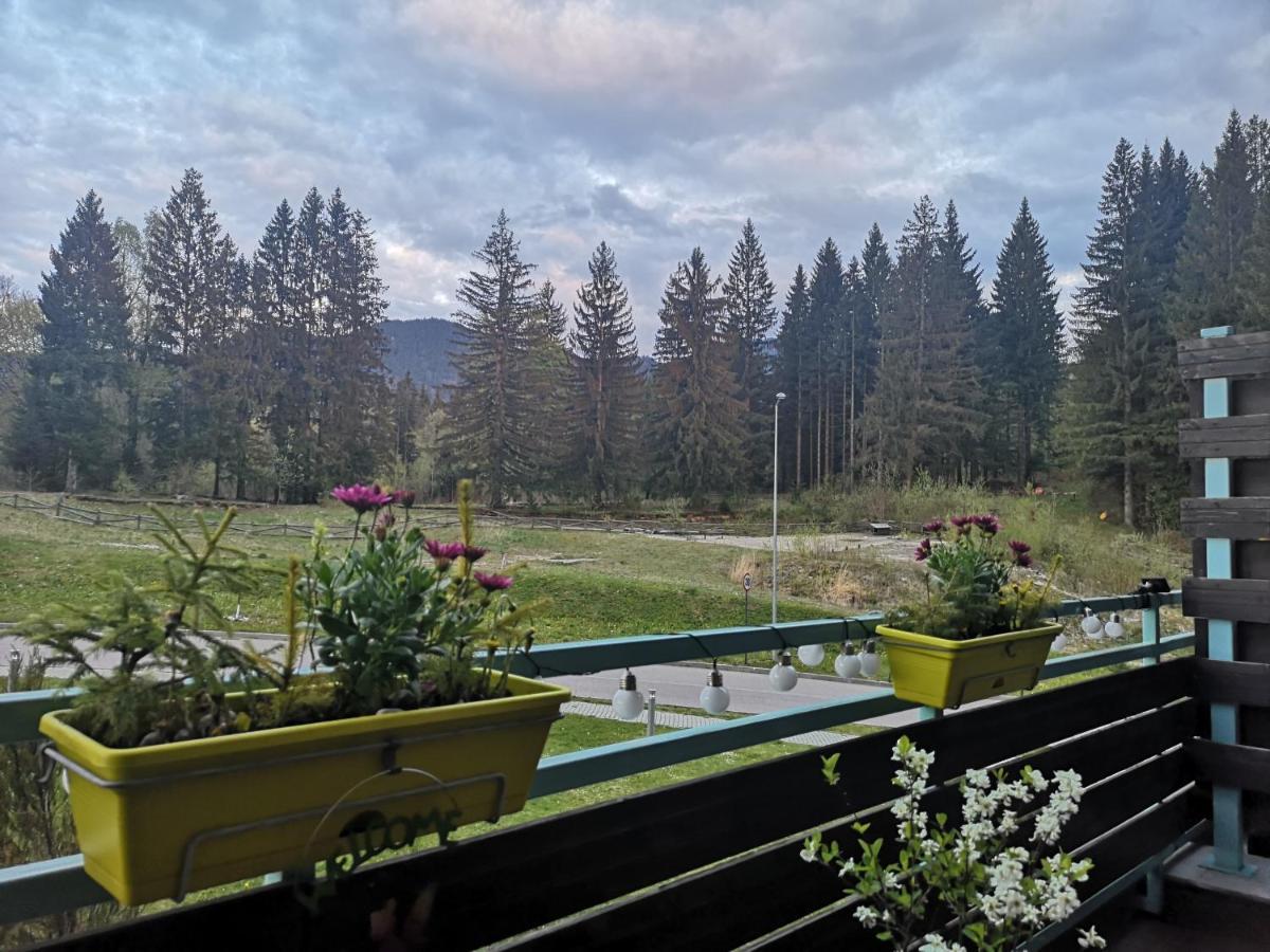 The Evergreen Nest - Silver Mountain بويانا براسوف المظهر الخارجي الصورة