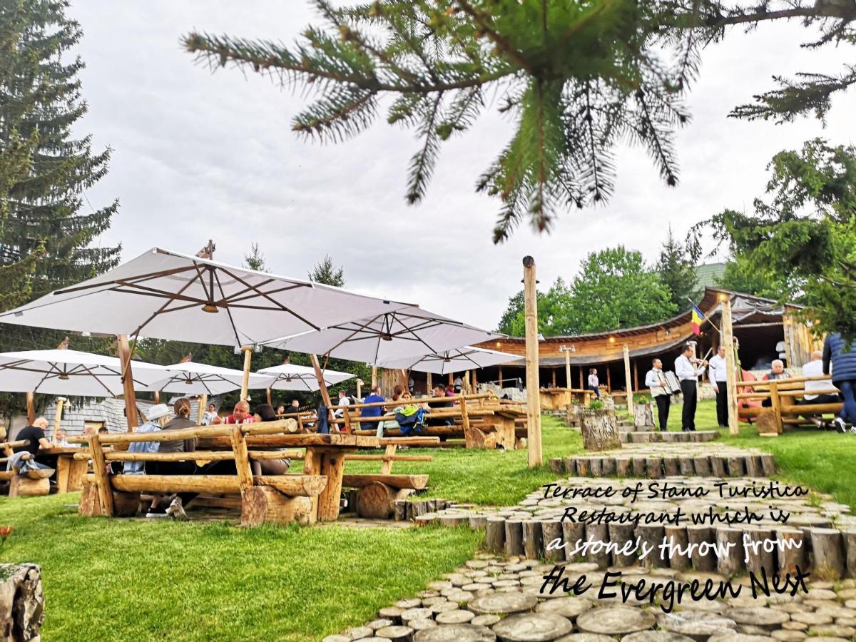 The Evergreen Nest - Silver Mountain بويانا براسوف المظهر الخارجي الصورة