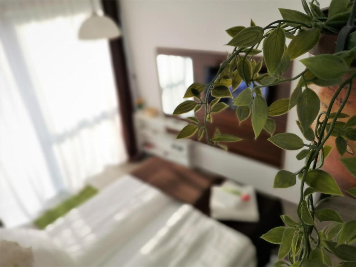 The Evergreen Nest - Silver Mountain بويانا براسوف المظهر الخارجي الصورة