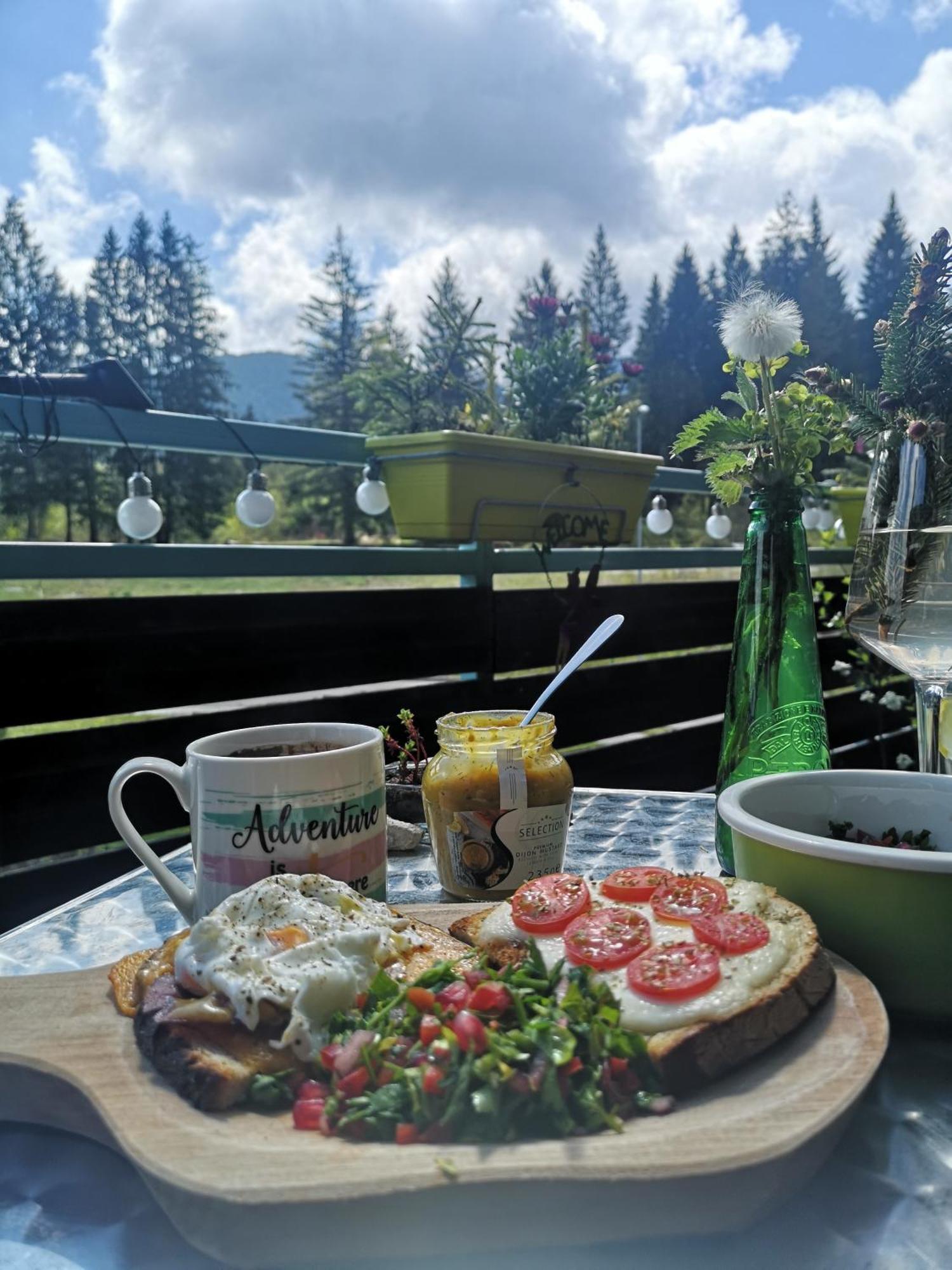 The Evergreen Nest - Silver Mountain بويانا براسوف الغرفة الصورة