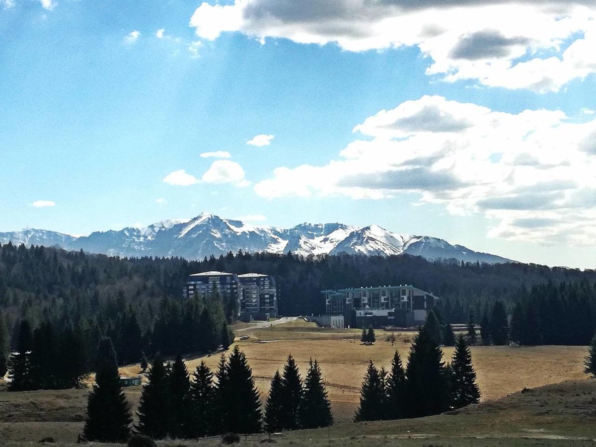 The Evergreen Nest - Silver Mountain بويانا براسوف المظهر الخارجي الصورة